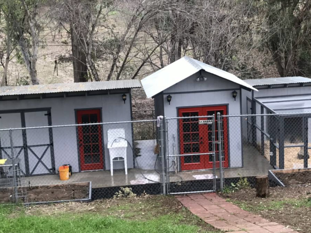 Custom animal enclosure project
