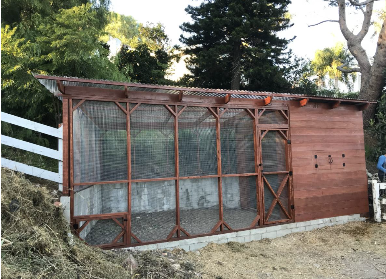 Custom modern farmhouse chicken coop in an Orange County backyard